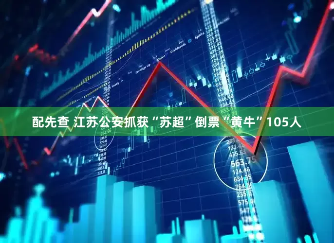 配先查 江苏公安抓获“苏超”倒票“黄牛”105人
