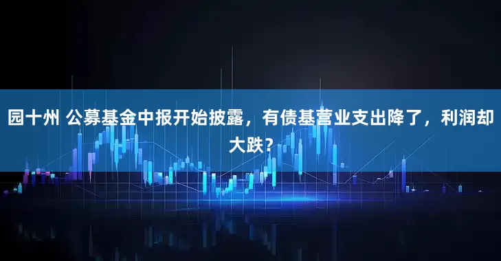 园十州 公募基金中报开始披露，有债基营业支出降了，利润却大跌？