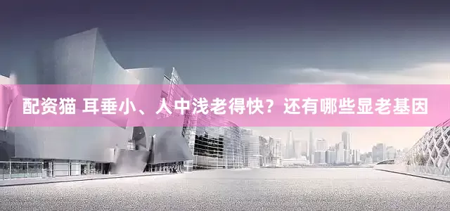 配资猫 耳垂小、人中浅老得快？还有哪些显老基因